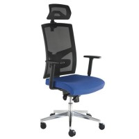 (obrázek pro) Kancelářská židle Manager VIP Nature, modrá