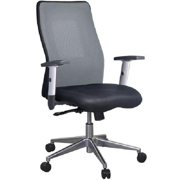 Kancelářská židle Manutan Penelope Alu, šedá (MB-1132161)